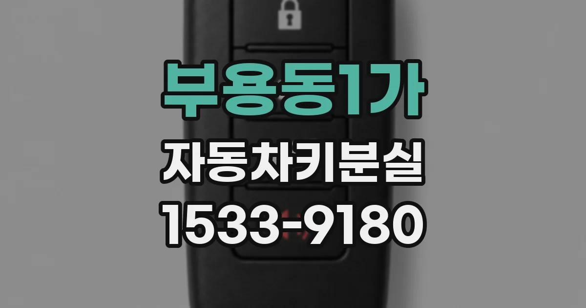 부용동1가 자동차키분실