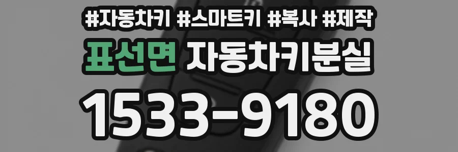 표선면 자동차키분실