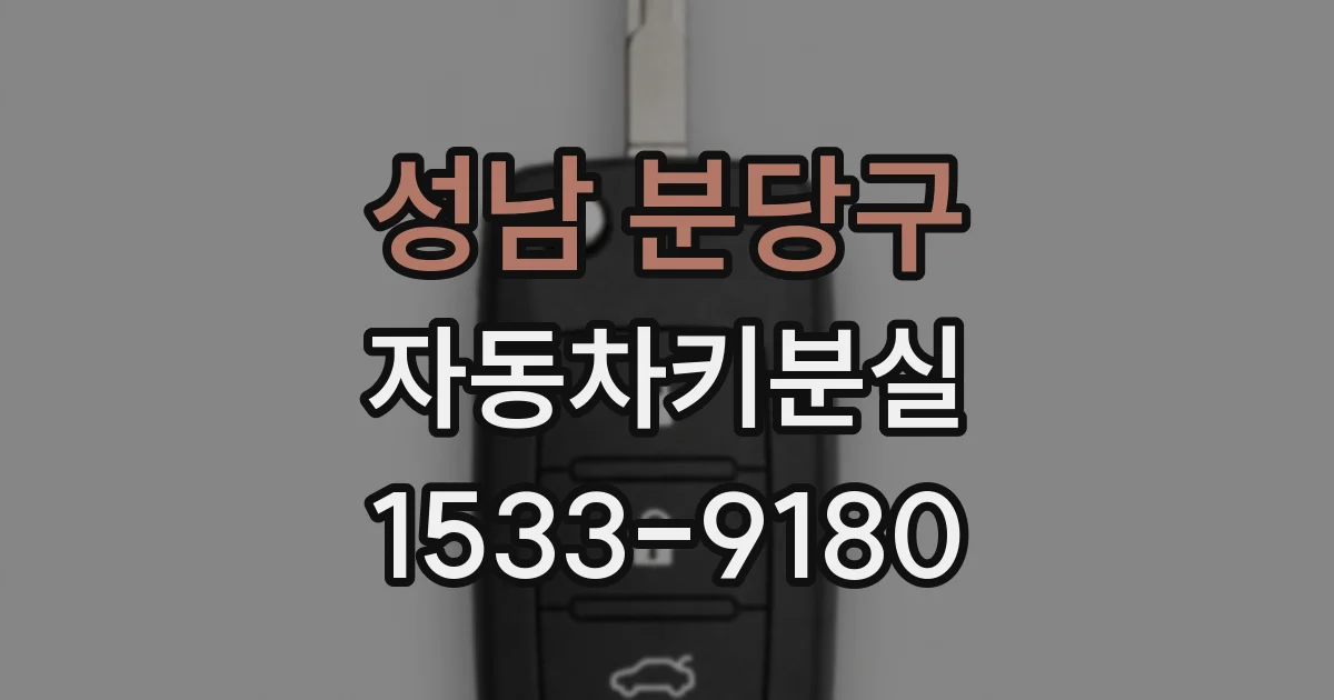 성남 분당구 자동차키분실