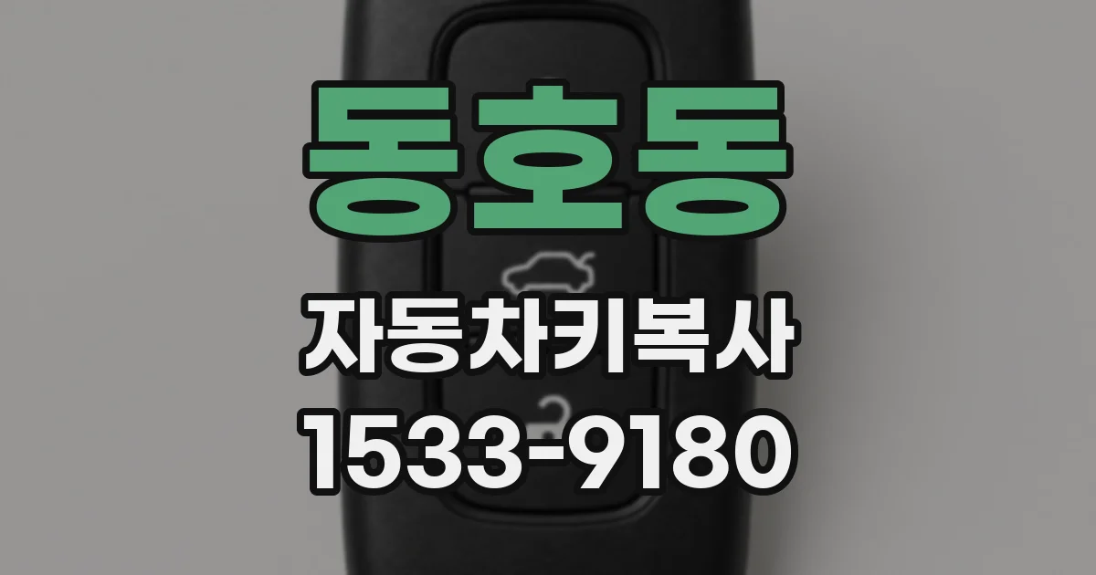 동호동 자동차키복사