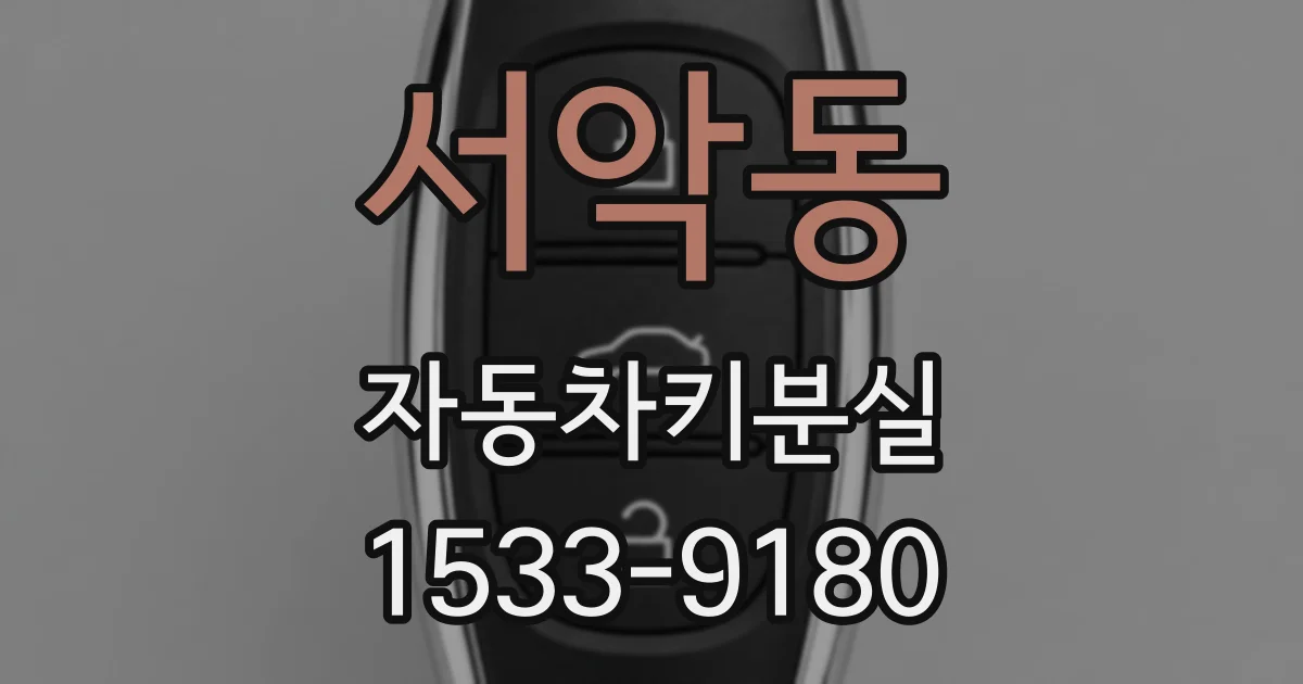 서악동 자동차키분실