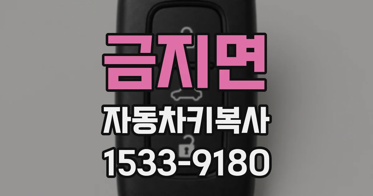 금지면 자동차키복사