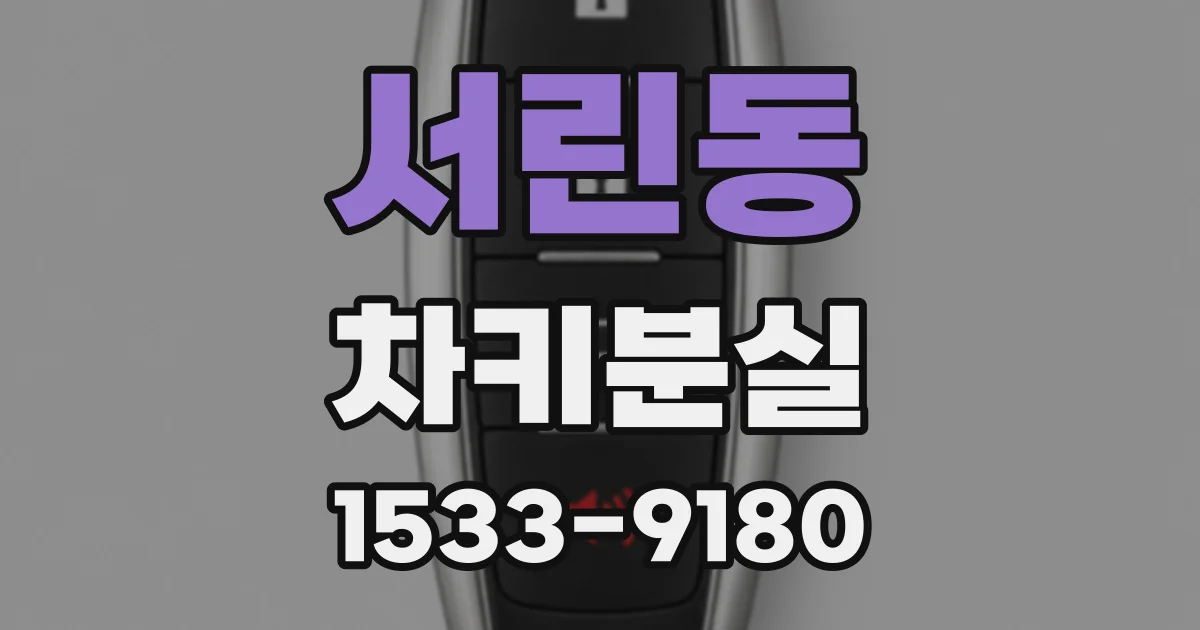 서린동 차키분실