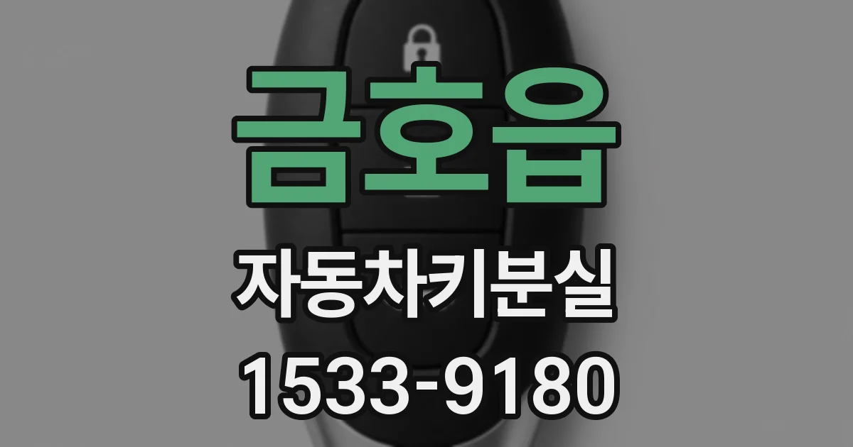 금호읍 자동차키분실
