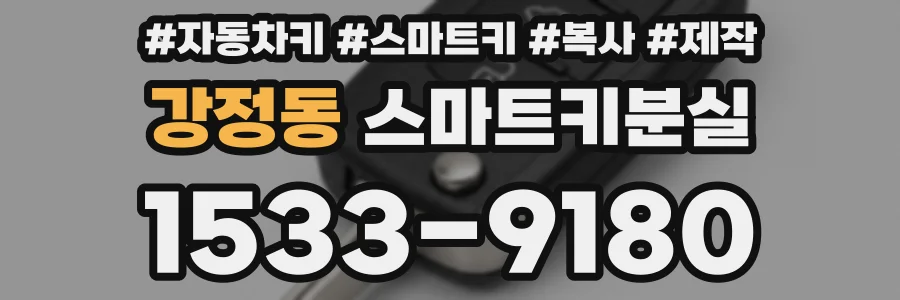 강정동 스마트키분실