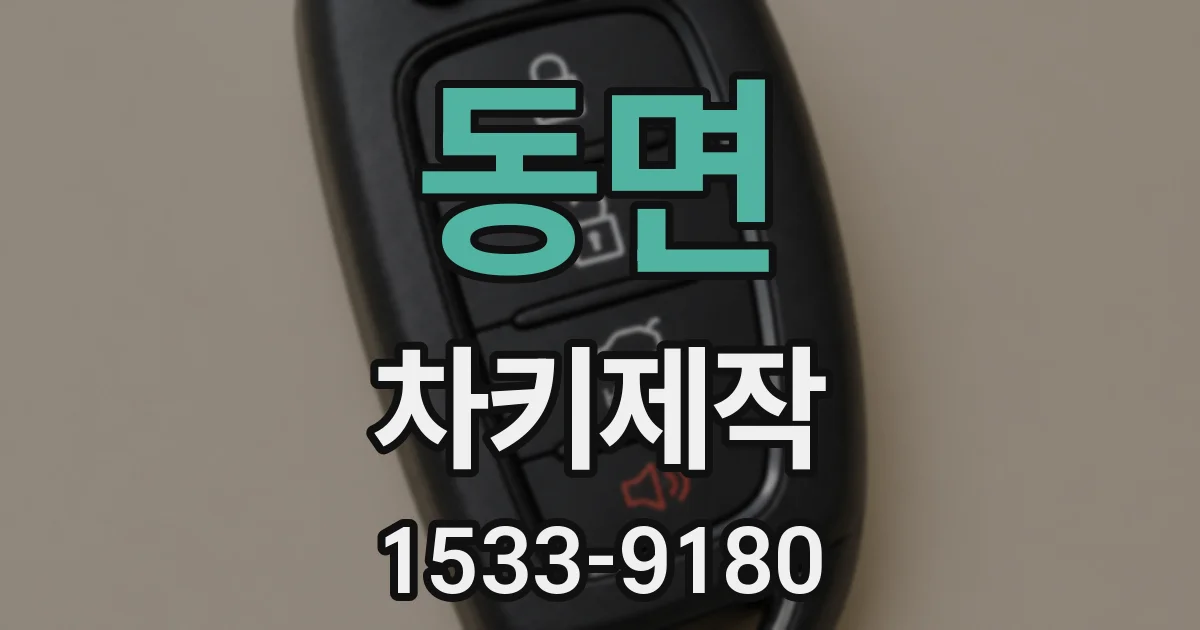 동면 차키제작