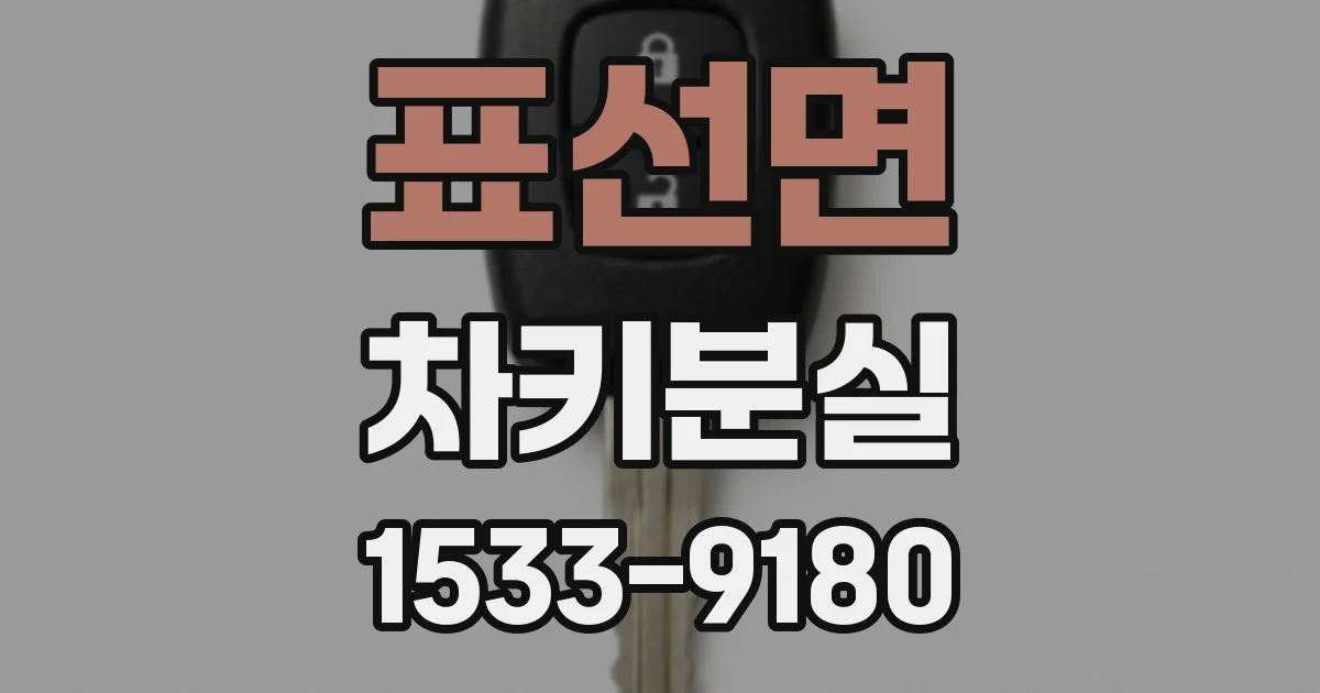 표선면 차키분실