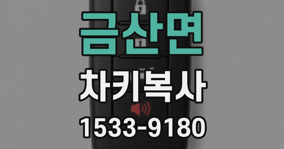 금산면 차키복사