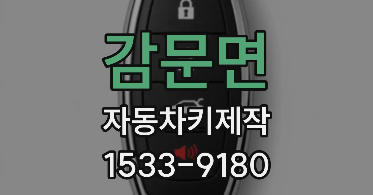 감문면 자동차키제작