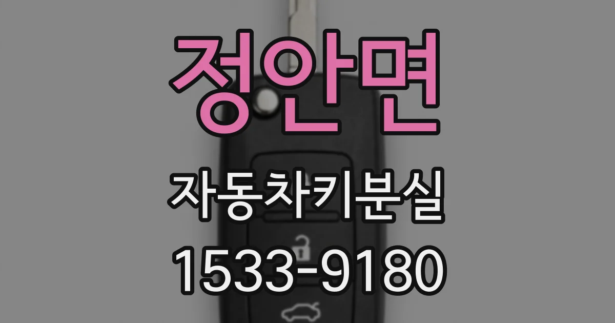 정안면 자동차키분실