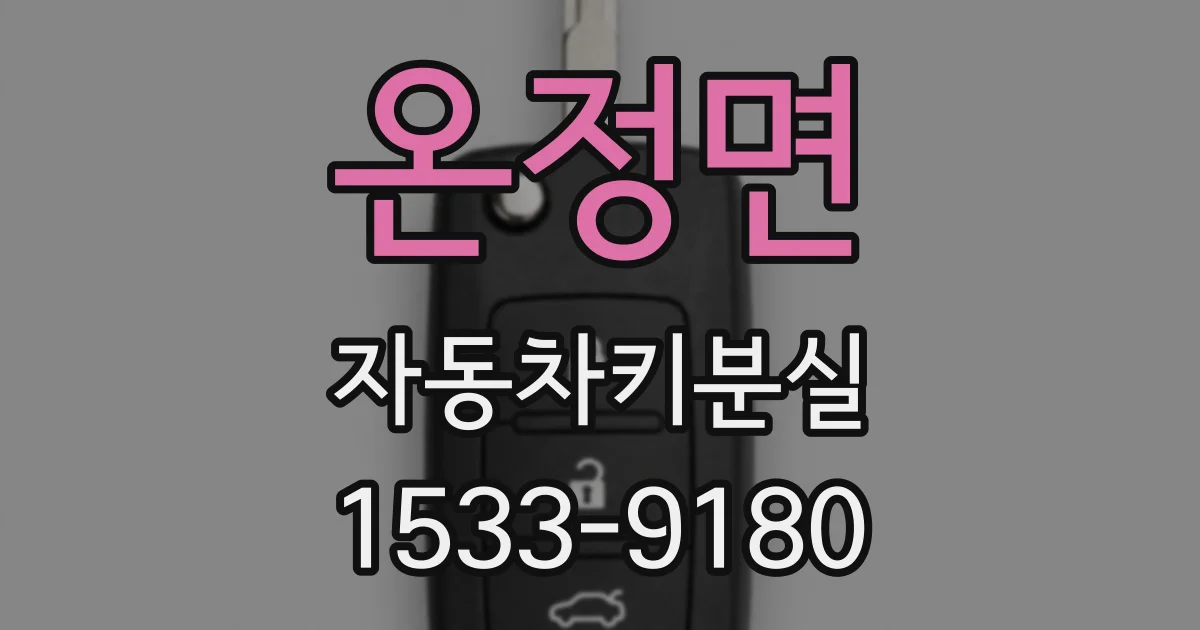 온정면 자동차키분실