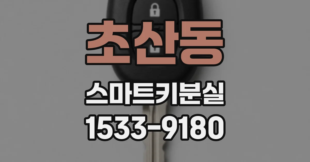 초산동 스마트키분실