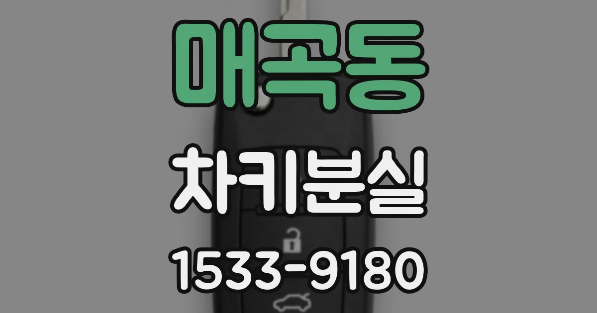 매곡동 차키분실