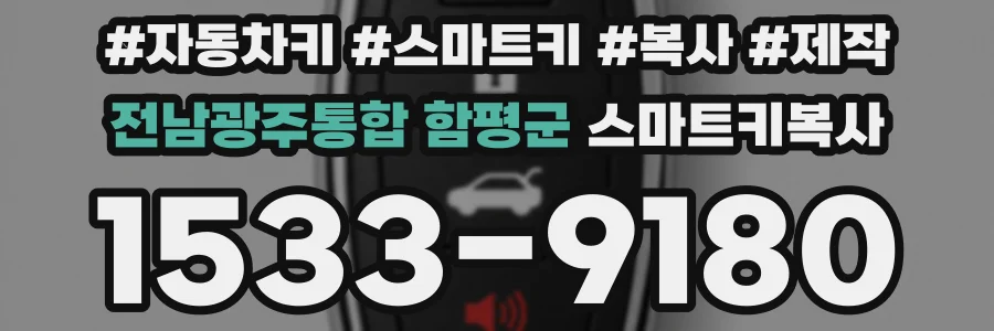 전남광주통합 함평군 스마트키복사