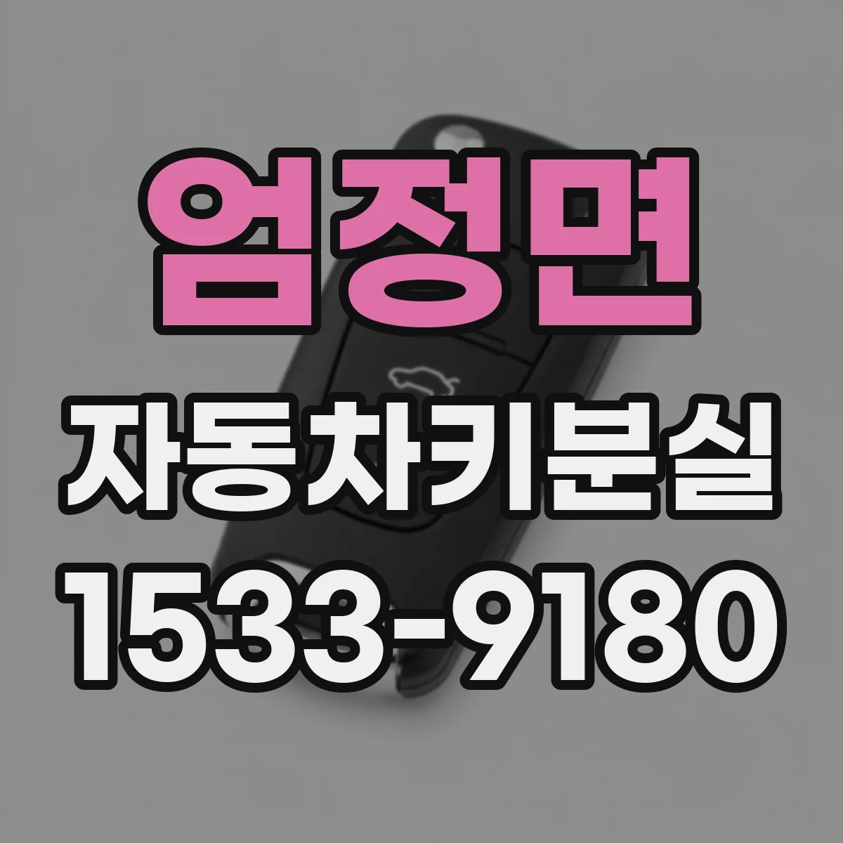 엄정면 자동차키분실