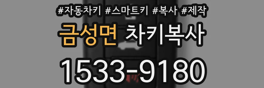금성면 차키복사