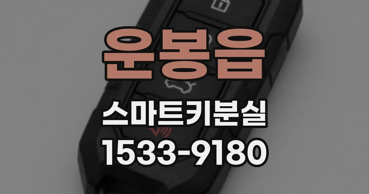 운봉읍 스마트키분실