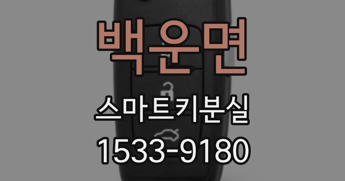 백운면 스마트키분실
