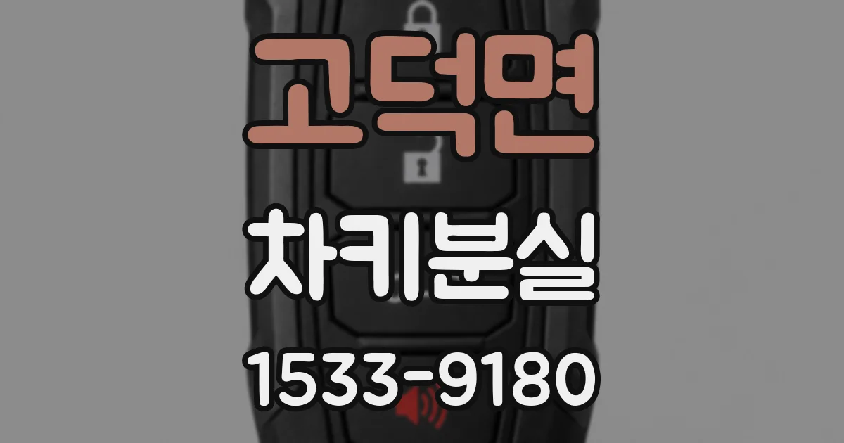 고덕면 차키분실