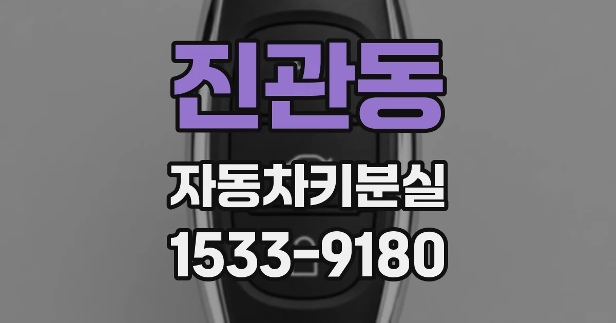 진관동 자동차키분실