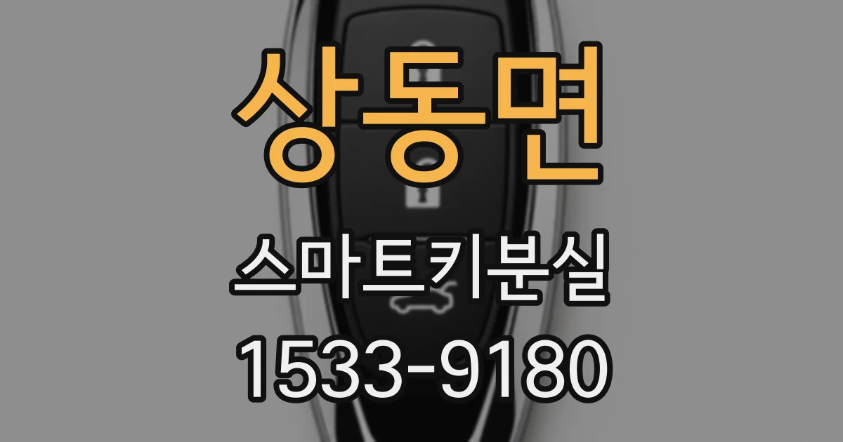 상동면 스마트키분실