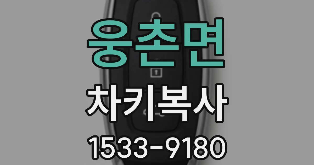 웅촌면 차키복사