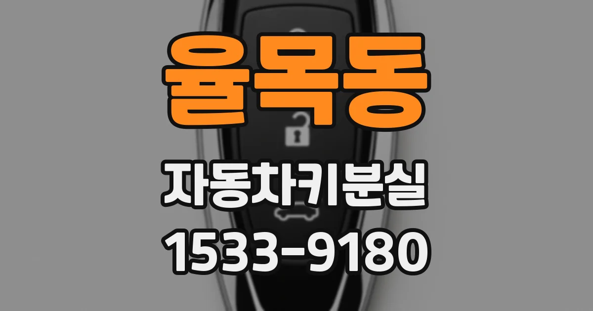 율목동 자동차키분실