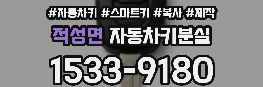 적성면 자동차키분실