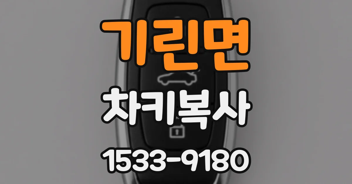기린면 차키복사