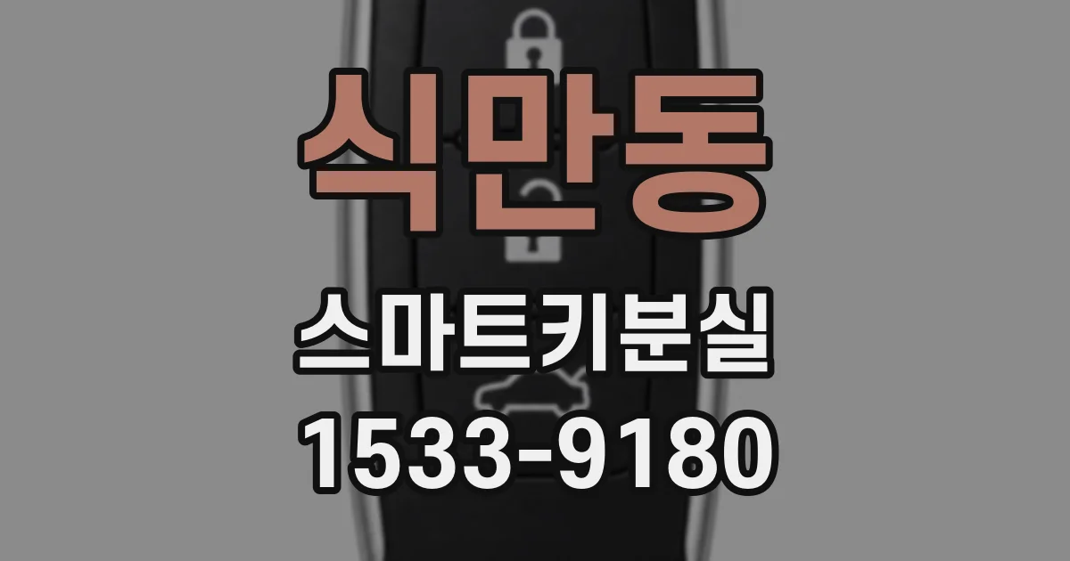 식만동 스마트키분실