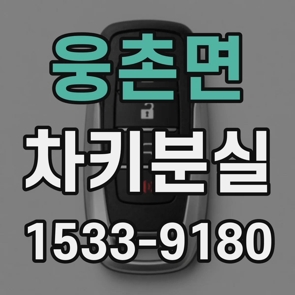 웅촌면 차키분실