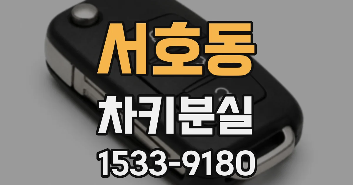 서호동 차키분실
