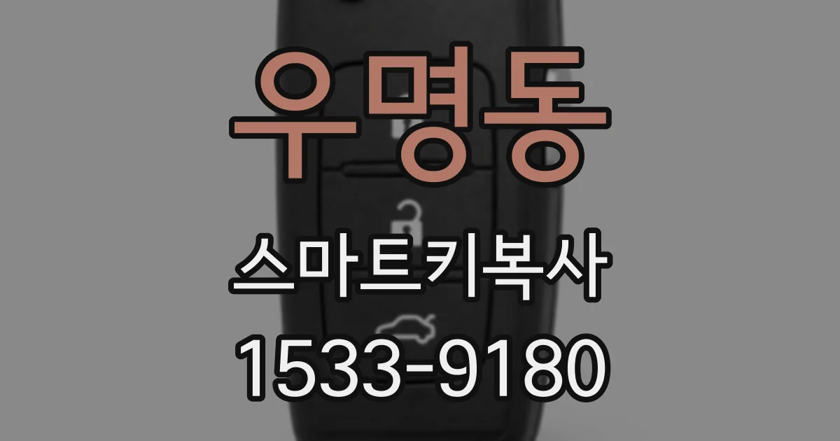 우명동 스마트키복사