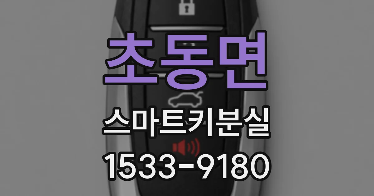 초동면 스마트키분실