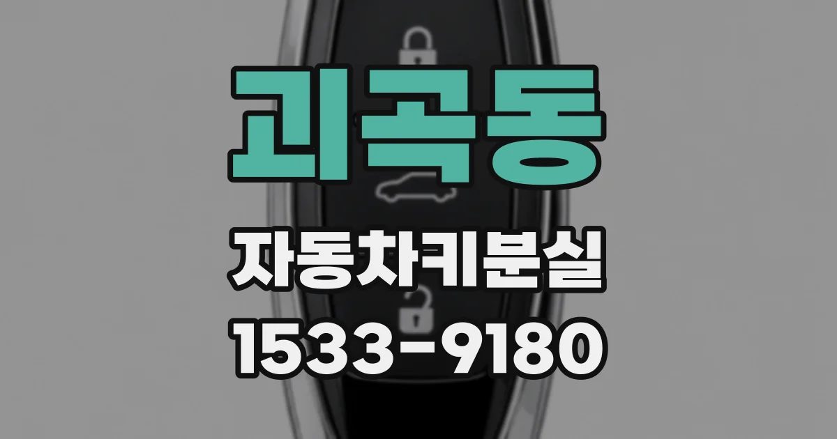괴곡동 자동차키분실