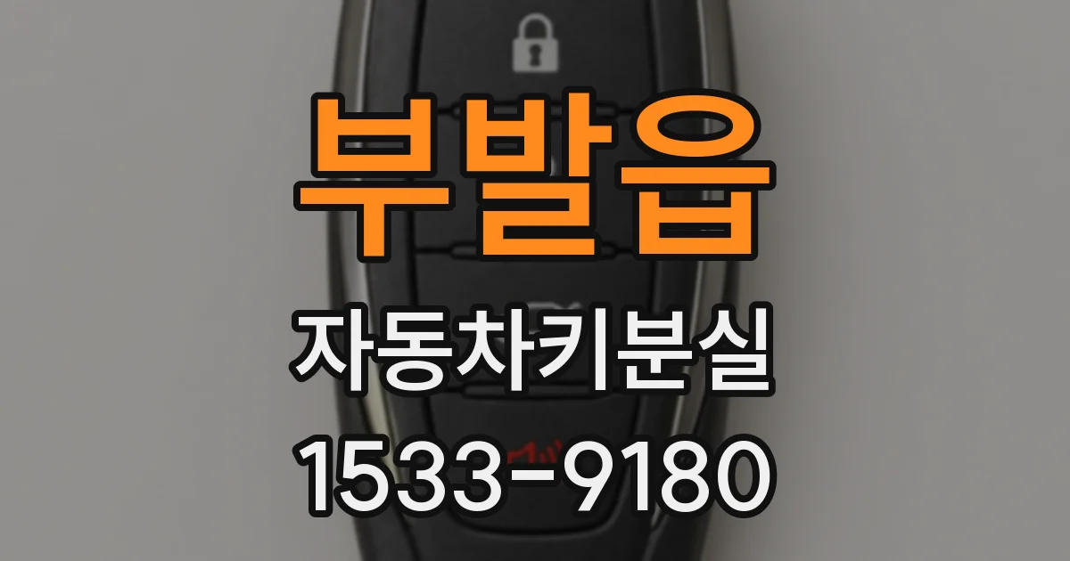 부발읍 자동차키분실