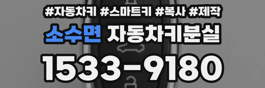 소수면 자동차키분실