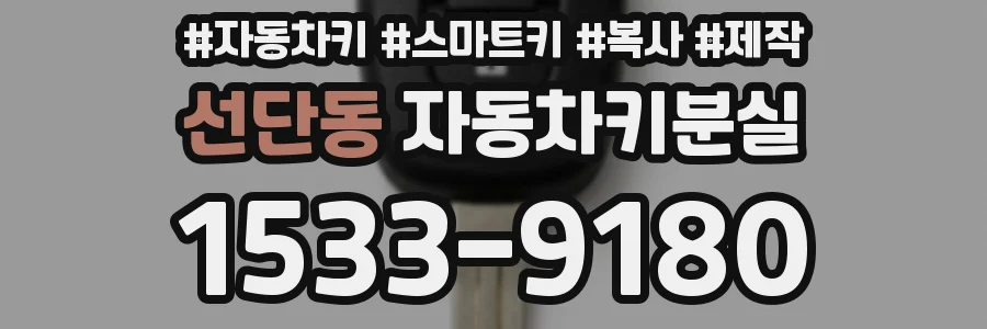 선단동 자동차키분실