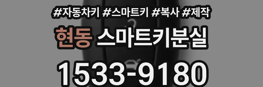 현동 스마트키분실