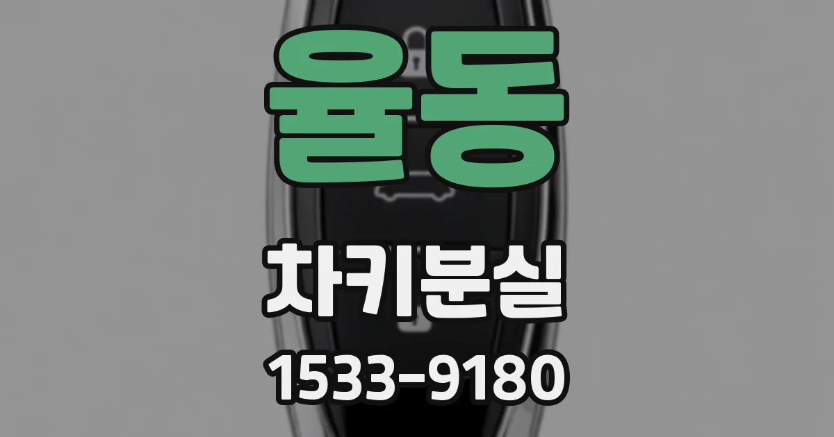 율동 차키분실
