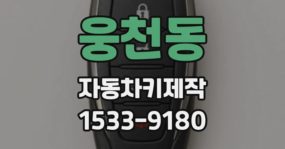 웅천동 자동차키제작