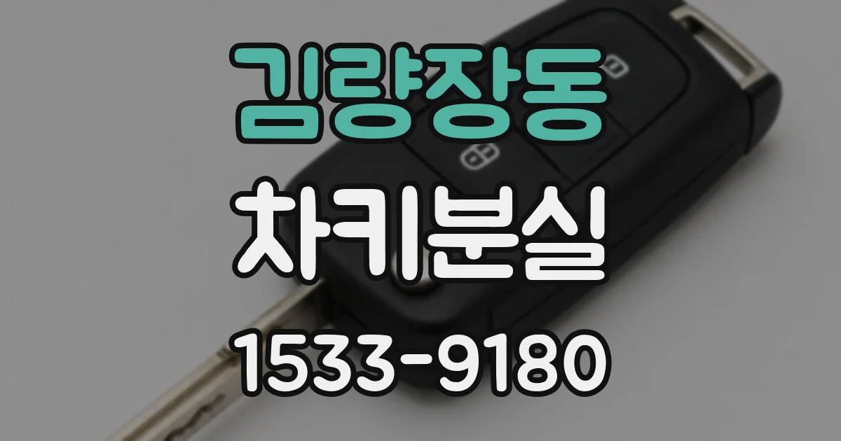 김량장동 차키분실
