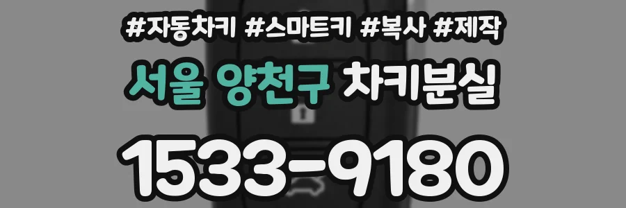 서울 양천구 차키분실
