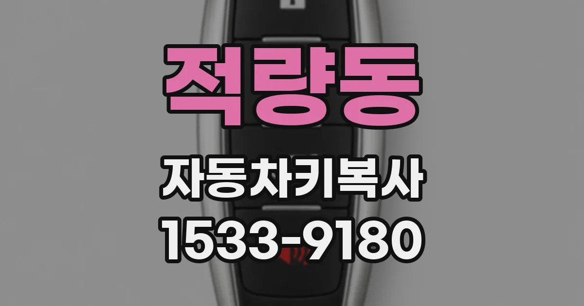 적량동 자동차키복사