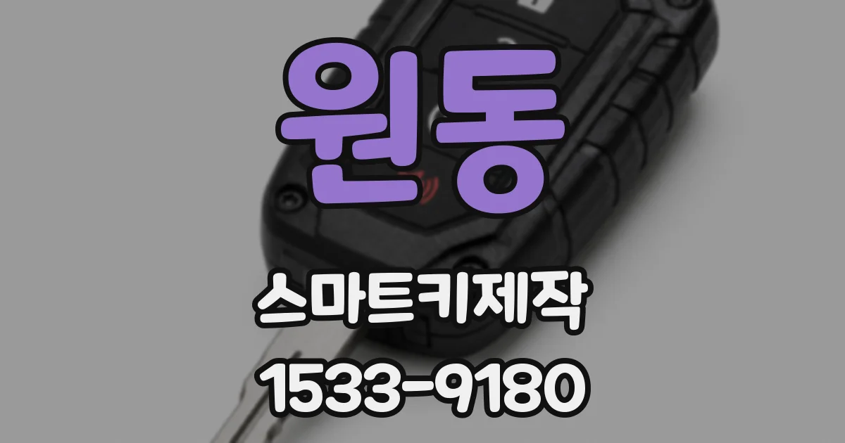 원동 스마트키제작
