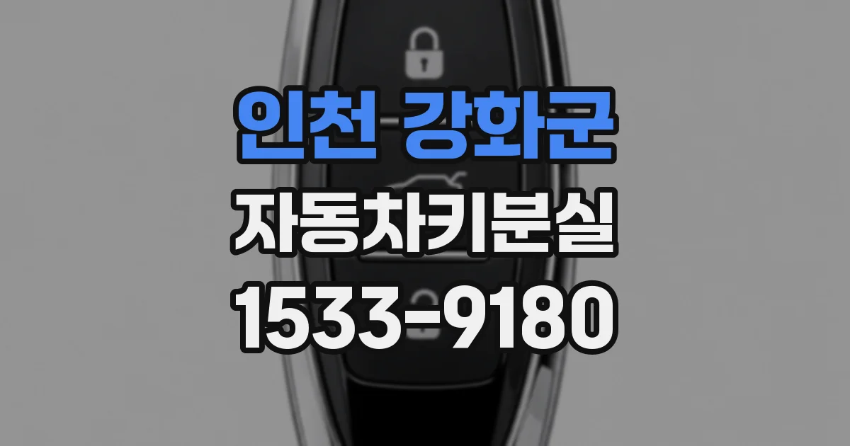 인천 강화군 자동차키분실
