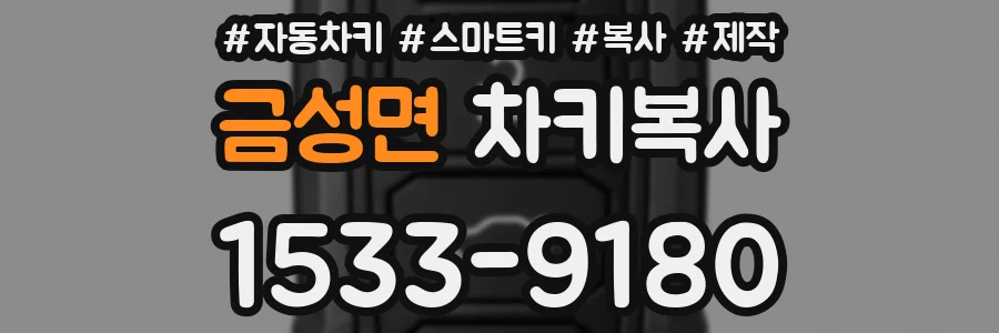 금성면 차키복사