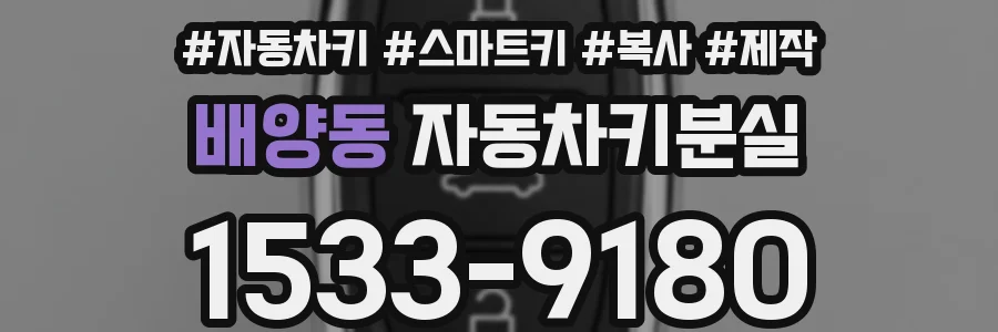 배양동 자동차키분실