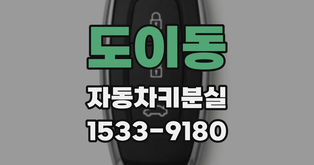 도이동 자동차키분실