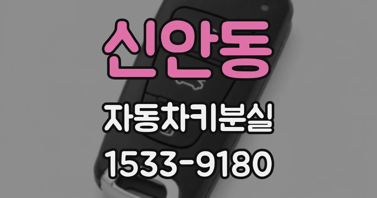 신안동 자동차키분실